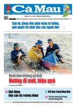 Số 1100 (Ngày 8-5-2025)