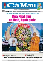 Số 1102 (Ngày 12-5-2025)