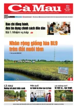 Số 5 (Ngày 7-7-2025)