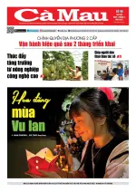 Số 48 (Ngày 4-9-2025)