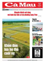 Số 50 (Ngày 8-9-2025)