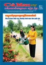 Số 11 (Ngày 11-10-2025)