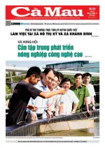 Số 122 (Ngày 17-12-2025)