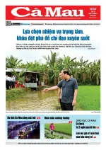 Số 137 (Ngày 7-1-2026)