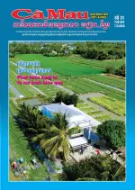 Số 31 (Ngày 7-3-2026)