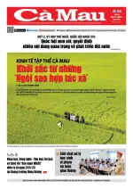 Số 206 (Ngày 21-4-2026)