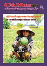 Số 41 (Ngày 16/5/2026)