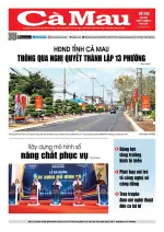 Số 243 (Ngày 11-6-2026)
