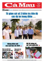 Số 246 (Ngày 16-6-2026)