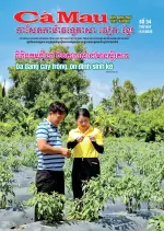 Số 54 (Ngày 15/8/2026)