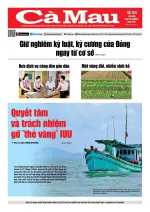 Số 293 (Ngày 20-8-2026)