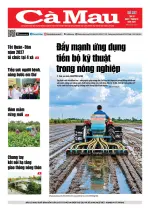 Số 327 (Ngày 7-10-2026)