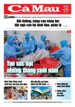 Số 338 (Ngày 22-10-2026)