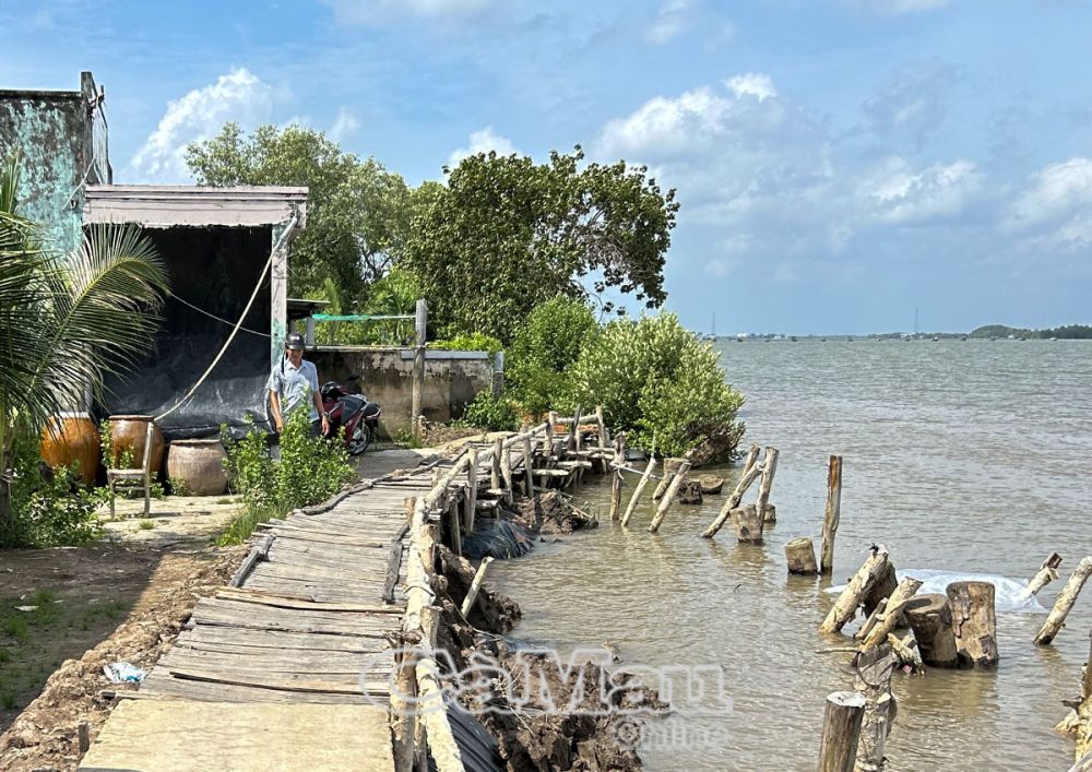 Vụ sạt lở ngày 5/5/2023 đã phá huỷ hoàn toàn đoạn lộ trên địa bàn khóm Sa Phô, thị trấn Năm Căn, huyện Năm Căn, khiến việc sản xuất kinh doanh và đi lại của người dân gặp khó khăn.