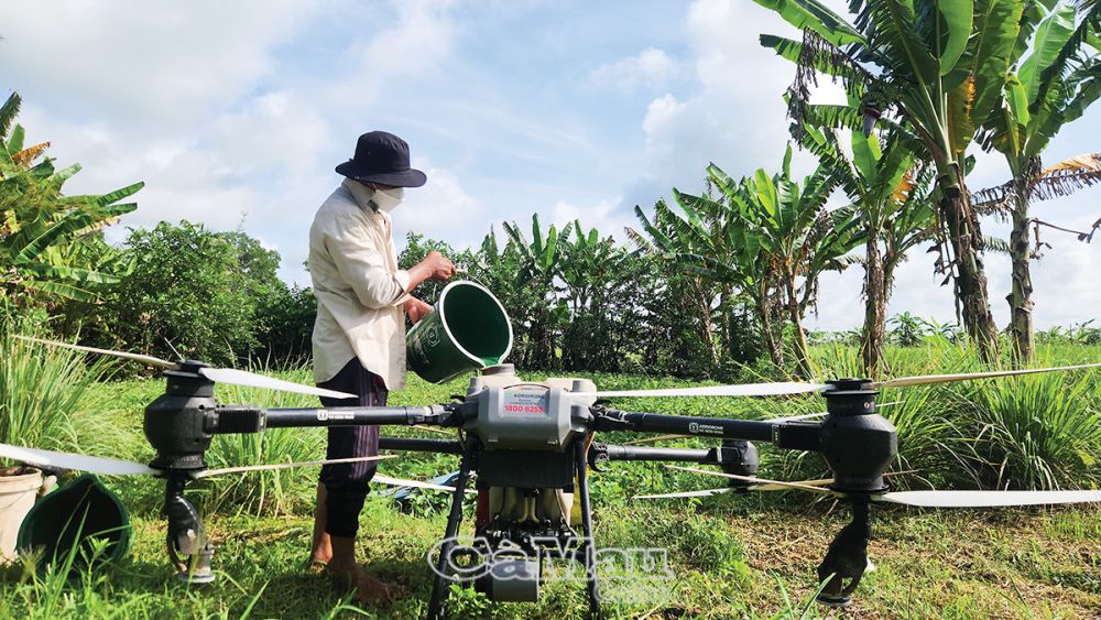 Nông dân Ấp 5, xã Trần Hợi, huyện Trần Văn Thời sử dụng thiết bị bay không người lái để phun thuốc trừ sâu cho đồng ruộng. Ảnh: TRẦM NGHĨ