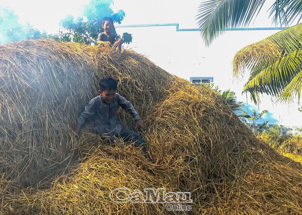 Trong lúc chờ cá chín, anh em chúng tôi chơi trốn tìm trên đống rơm, tiếng cãi vã, cười nói rộn vang góc quê.