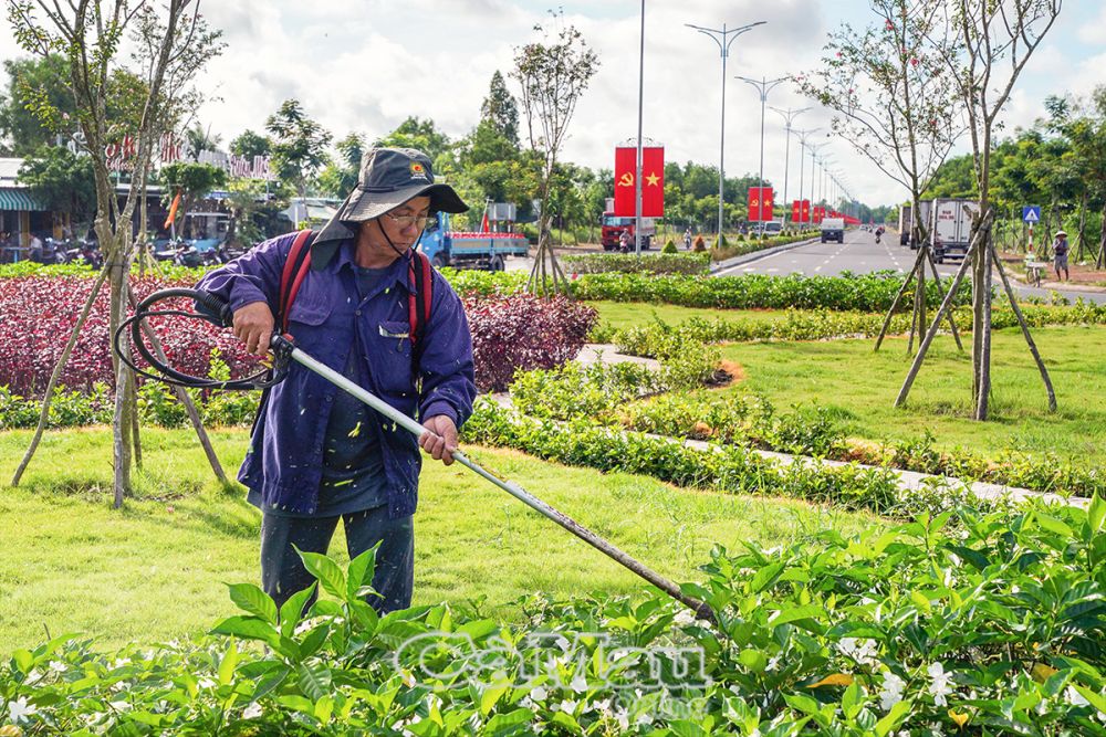 Công nhân khẩn trương cắt tỉa hoa trên các tuyến đường phục vụ lễ 2/9.