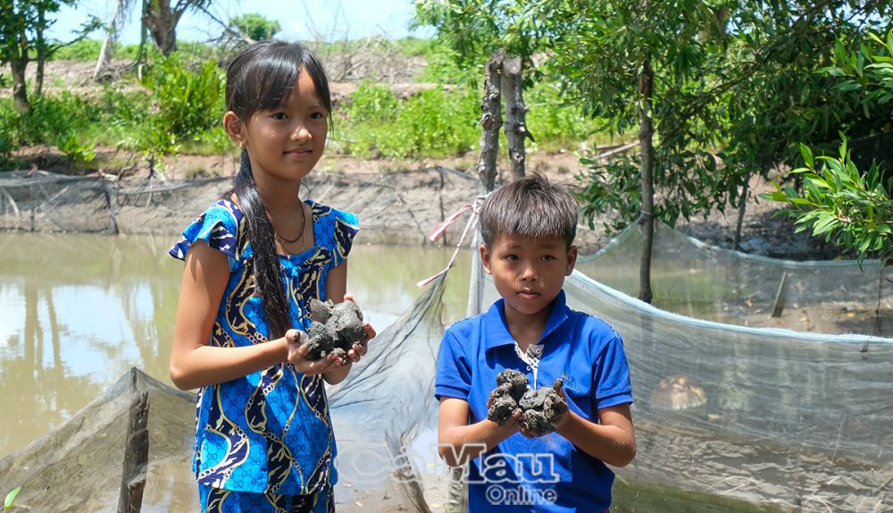 Vào những ngày hè, em Huỳnh Thị Quỳnh Hương hay cùng bạn bè trong xóm đi bắt vọp, ốc len phụ giúp gia đình.