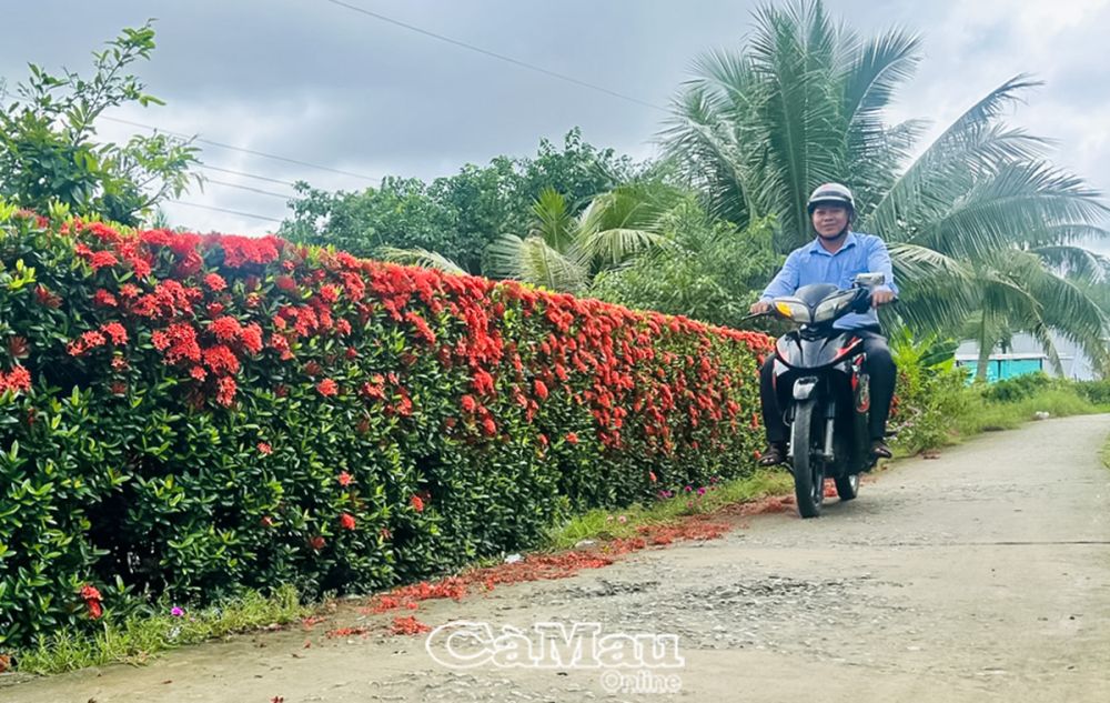 100% lộ nông thôn trục ấp và liên ấp được bê tông hoá, giúp người dân đi lại, giao thương thuận tiện.