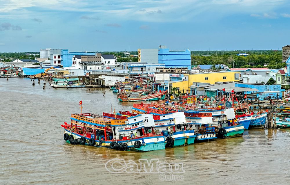 Sông Ðốc có đội tàu cá hùng hậu được quản lý bằng phần mềm phòng chống khai thác bất hợp pháp IUU.