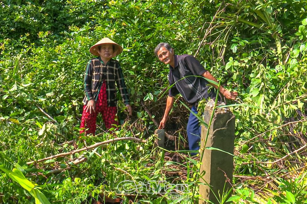 Phần đất của ông Tòng đã được cắm cọc giáp ranh, nhưng vẫn bị ông Triệu di dời.