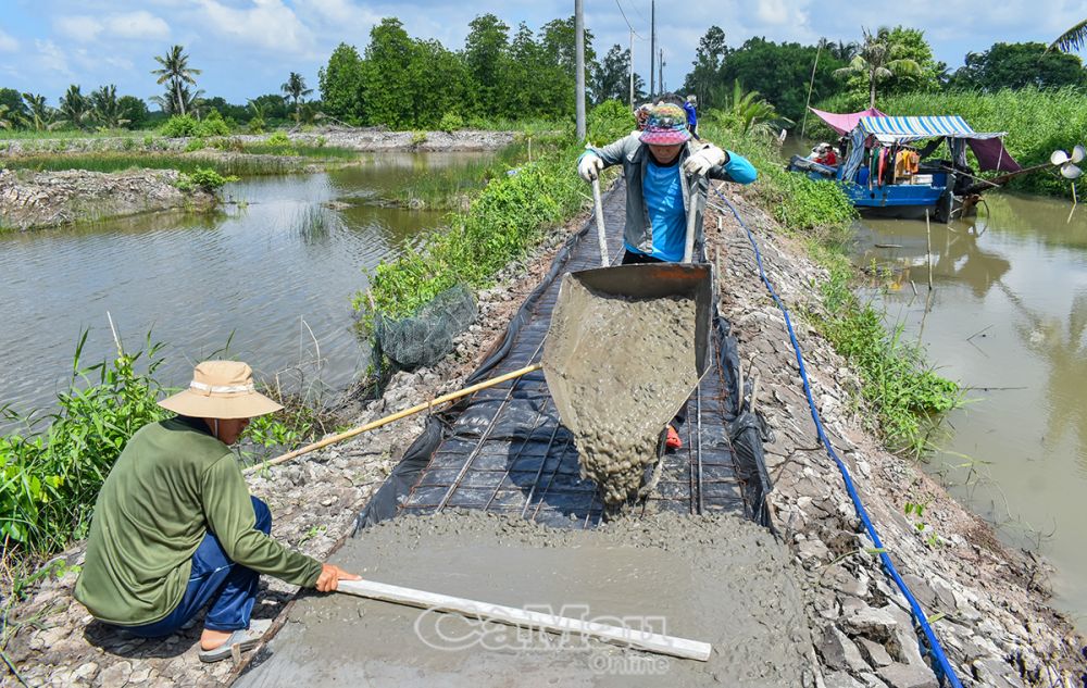 Tuyến lộ bê tông ấp Thọ Mai được xây dựng, người dân đồng tình, phấn khởi.