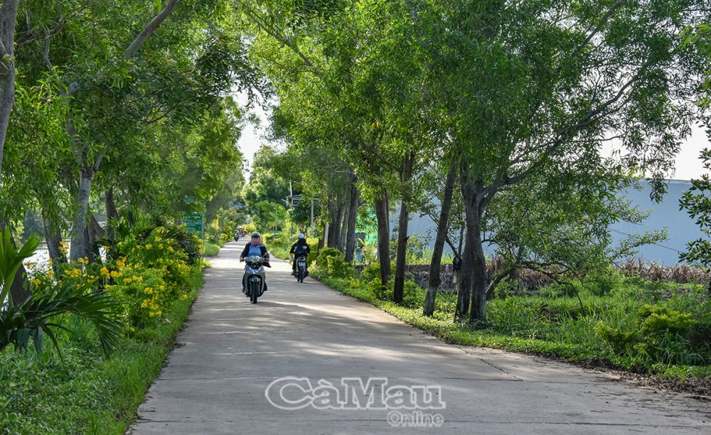 Giao thông phát triển, bộ mặt nông thôn ngày thêm khởi sắc. (Trong ảnh: Tuyến lộ về trung tâm xã Tân Hải).