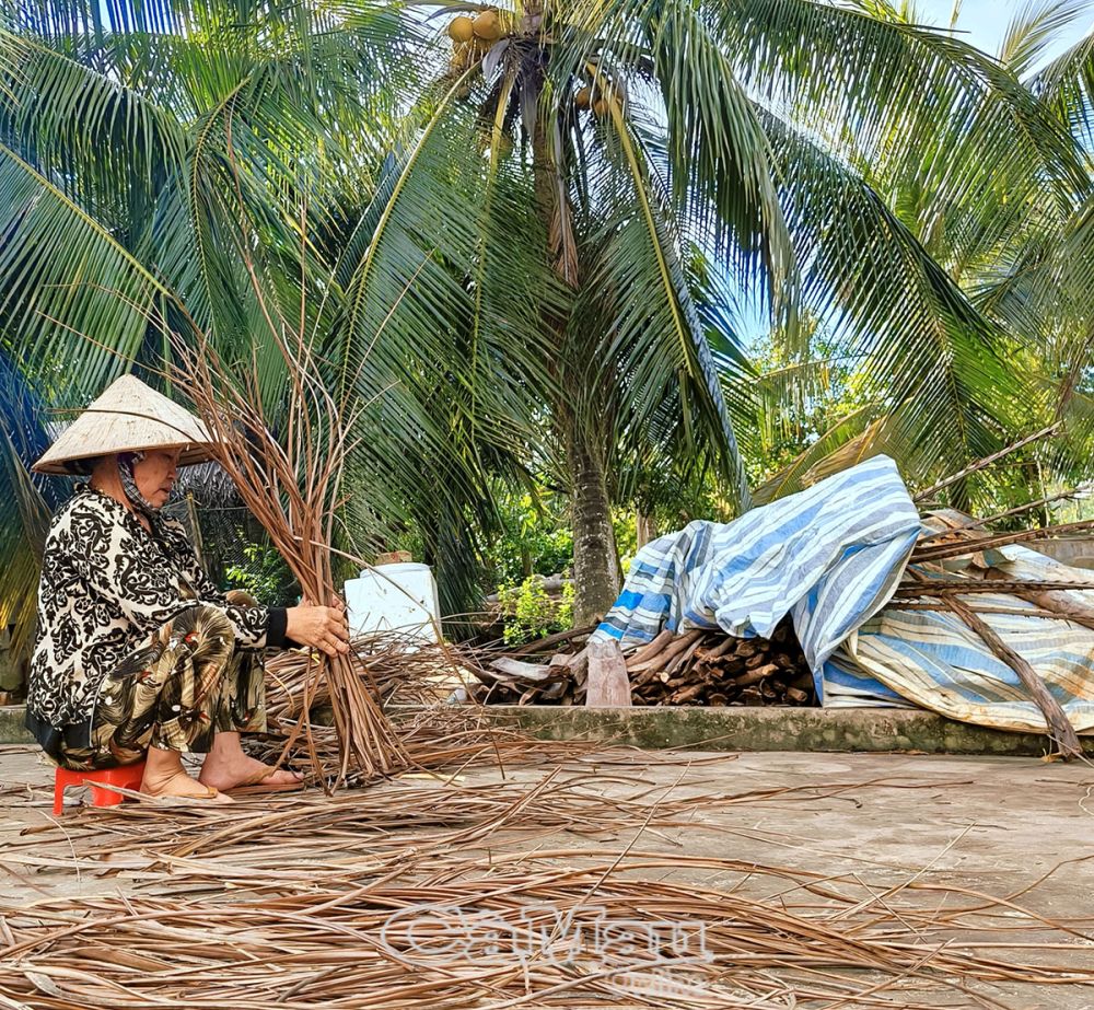 Người quê gom phơi lá dừa để nhóm lửa, hình ảnh vừa quen thuộc vừa thân thương, gợi nhớ bữa cơm thơm mùi khói bếp.