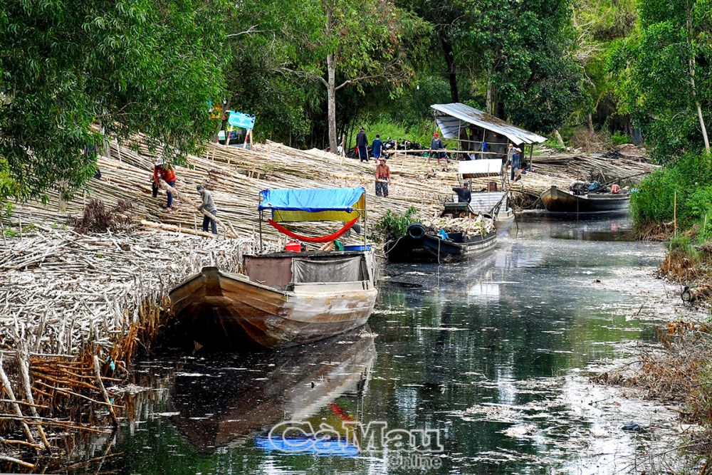 Hoạt động mua bán nhộn nhịp trên sông ở những chợ tràm vùng U Minh Hạ.