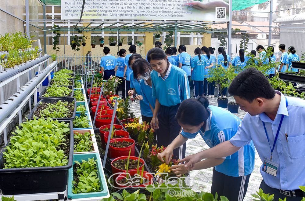 Ngành giáo dục tiếp tục đẩy mạnh triển khai phong trào “Xây dựng trường học thân thiện, học sinh tích cực”, sớm hình thành và phát triển nhân cách con người ở lứa tuổi thanh niên, thiếu niên. (Trong ảnh: Học sinh trải nghiệm tại Vườn thực hành sinh học, Trường THPT Ðầm Dơi).