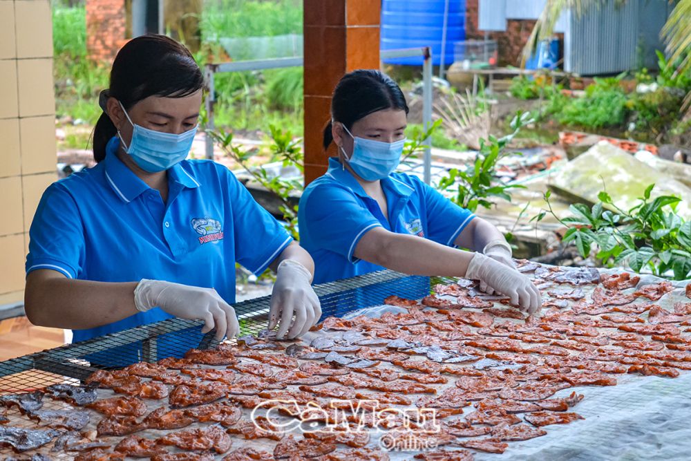 Hiện nay, HTX Minh Phát, Ấp 6, xã Tân Lộc Ðông, huyện Thới Bình, có 37 thành viên, ngành nghề chủ lực là sản xuất kinh doanh khô và mắm cá phi, thu nhập trên 5 triệu đồng/tháng/thành viên.