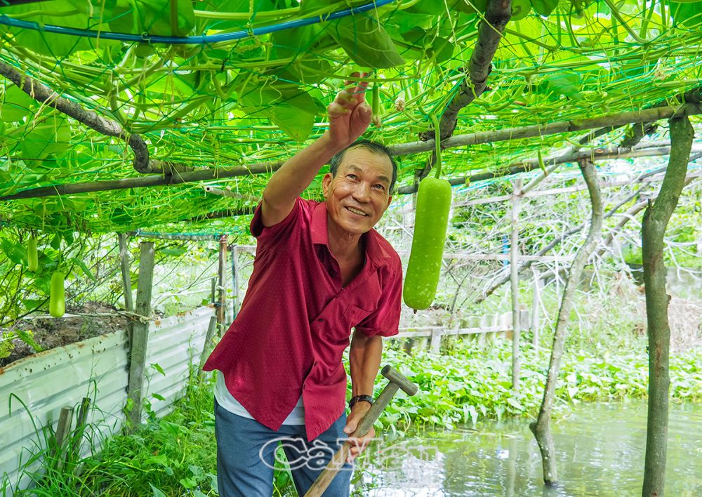 Ông Trần Văn Biểu là cán bộ hội tiêu biểu, gương mẫu trong phát triển kinh tế, đồng thời có nhiều đóng góp cho công tác an sinh xã hội ở địa phương.