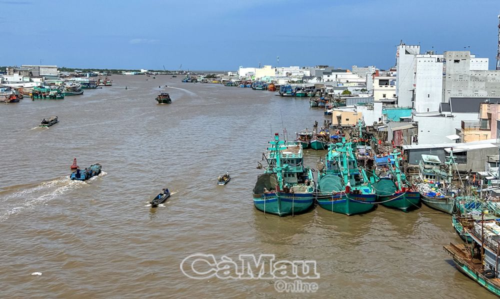 Cửa biển Sông Ðốc (huyện Trần Văn Thời) là nơi có đội tàu khai thác lớn nhất tỉnh.