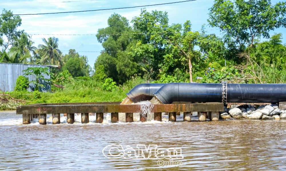 Để tạo điều kiện thuận lợi cho nông dân thu hoạch lúa, các cống Tiểu vùng III ngày đêm hoạt động hết công suất để tháo nước nhanh.