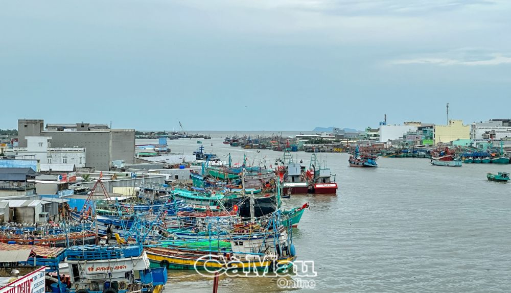 Thị trấn Sông Ðốc, huyện Trần Văn Thời, là địa phương được chọn tập trung lực lượng mở cao điểm trước, để từ đó rút kinh nghiệm chỉ đạo các nơi khác.