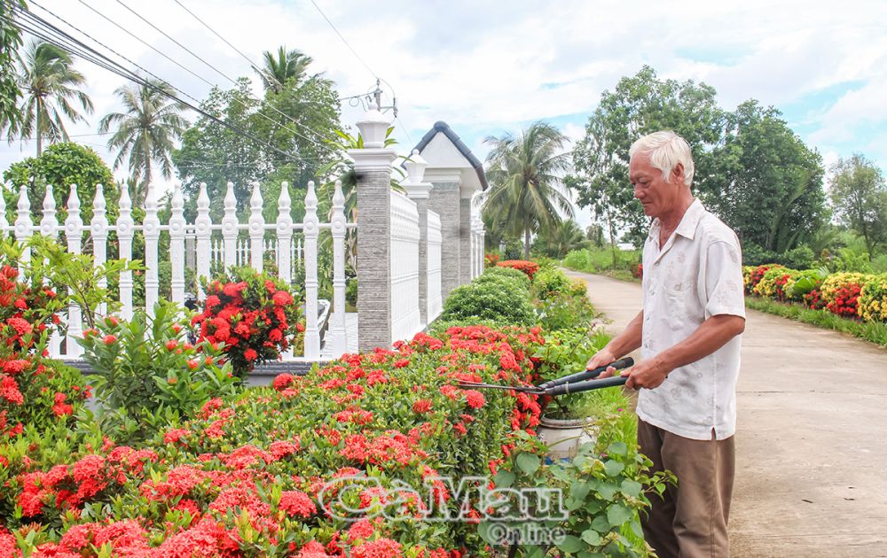 CCB Lê Trung Tín chăm sóc hàng rào cây xanh trước nhà.