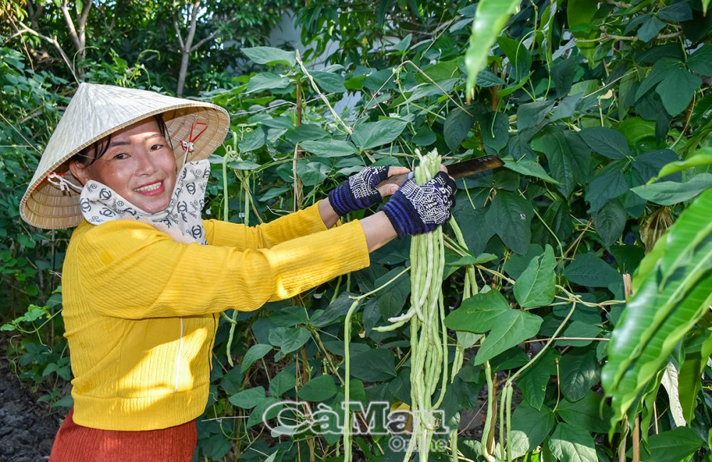 Chị Huỳnh Kim Oanh trồng hoa màu trên đất bờ vuông tôm, mỗi năm thu nhập khoảng 60 triệu đồng.