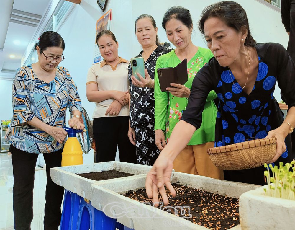 Mỗi học viên đều được tự tay gieo hạt, đảm bảo đều khay và tưới đủ nước.