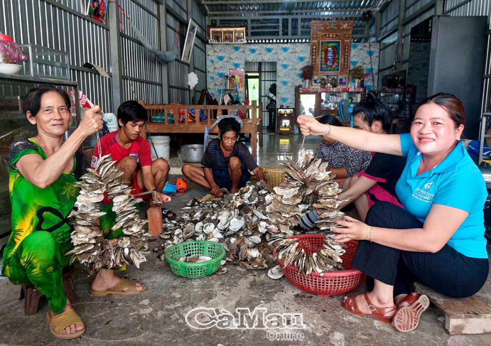 Việc gia công vỏ hàu mang về thu nhập vài trăm ngàn đồng/ngày cho hộ gia đình.