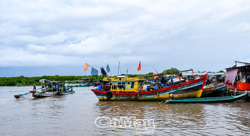 Khi có thông tin áp thấp nhiệt đới hoặc bão ở xa, các phương tiện đánh bắt ở cửa biển Cái Ðôi Vàm vào bờ neo đậu an toàn.