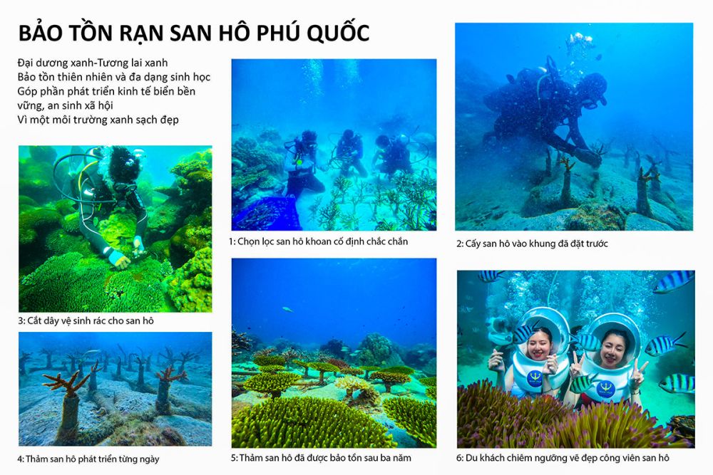 Bảo tồn rạn san hô Phú Quốc - Huy chương Vàng thể loại ảnh màu - tác giả Trương Phú Quốc (Kiên Giang).