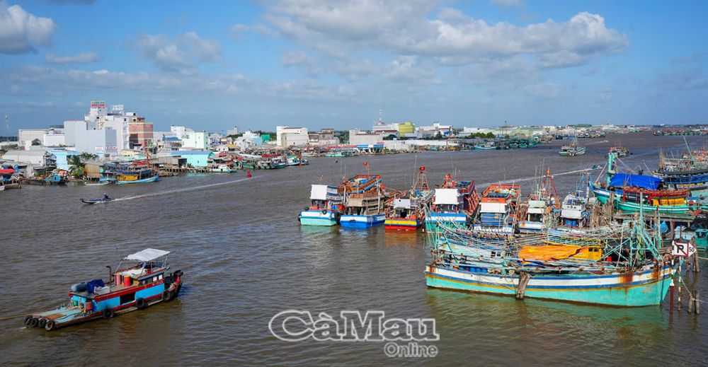 Thị trấn Sông Ðốc có nhiều lợi thế và tiềm năng phát triển kinh tế biển với đội tàu đánh bắt xa bờ nhiều nhất tỉnh.