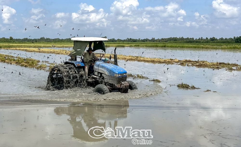 Chủ tịch UBND tỉnh chỉ đạo Sở Nông nghiệp và Phát triển nông thôn theo dõi sát tình hình, kịp thời điều chỉnh và hướng dẫn các địa phương thực hiện lịch thời vụ sản xuất các sản phẩm chủ lực.