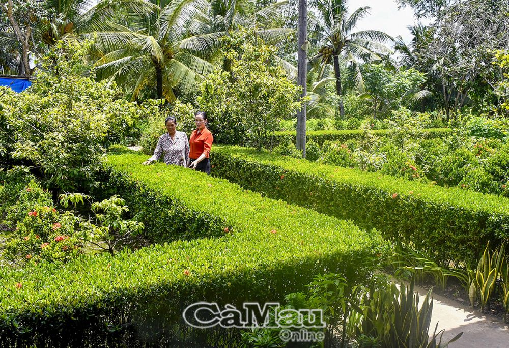 Bà Trần Thị Lai, vợ ông Sầm Văn Chùm, hằng ngày tỉ mỉ chăm chút hàng rào cây xanh, trồng hoa kiểng quanh nhà, tạo cảnh quan xanh, sạch, đẹp.