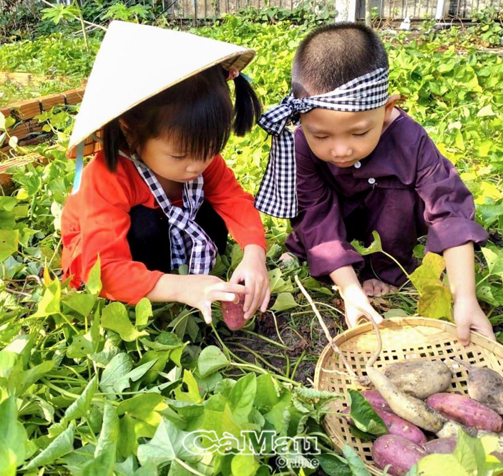 Sân trường Tiểu học Tân Lợi (huyện Thới Bình) rợp bóng cây xanh.