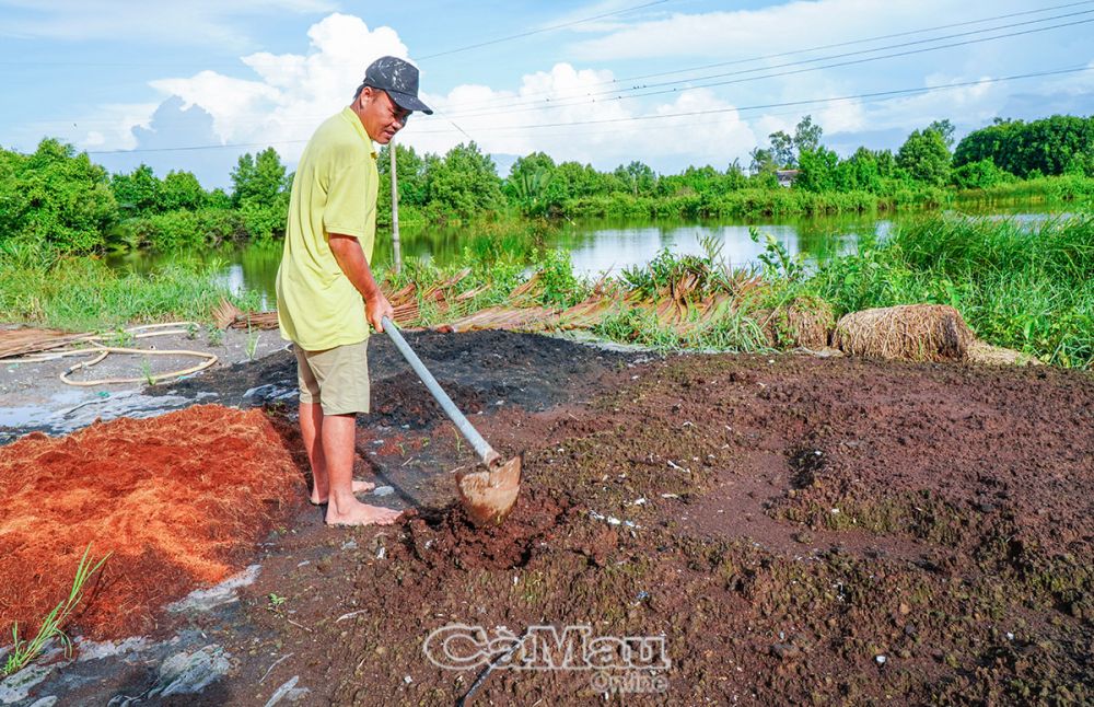 Anh Võ Hoàng Giang chia sẻ kỹ thuật trộn phân: phân bò, tro trấu, trấu sống, phân dừa theo tỷ lệ 4-4-1-1 để dưa leo thắng vụ quanh năm. 