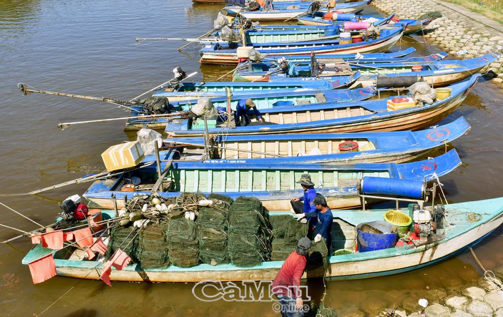 Cà Mau có rất nhiều phương tiện thuỷ gia dụng tham gia khai thác thuỷ sản trên biển, không những thiếu an toàn, mà đây còn là đối tượng gây ảnh hưởng lớn đến nguồn lợi thuỷ sản, đặc biệt là hệ sinh thái ven bờ. (Ảnh chụp tại cửa biển T29, xã Khánh Hội, huyện U Minh).