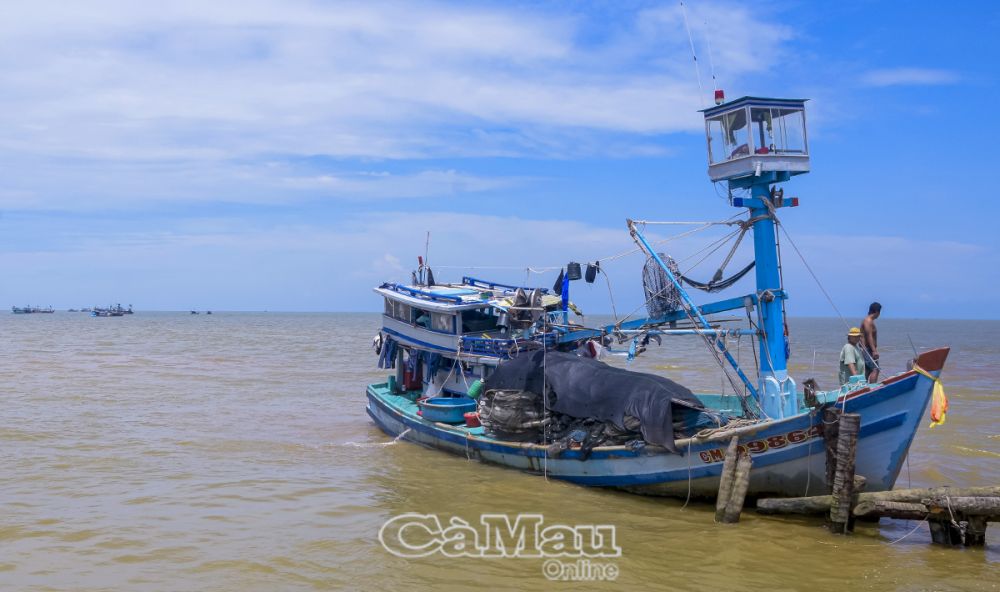 Hạ tầng phát triển sẽ thúc đẩy kinh tế biển và các dịch vụ khác phát triển theo.