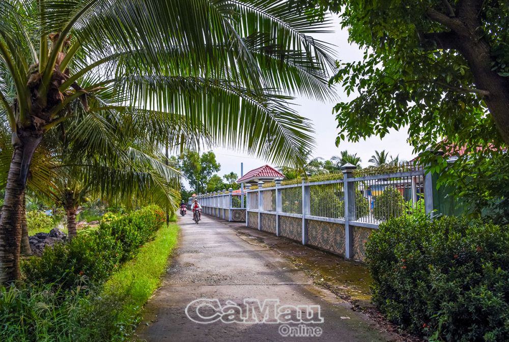 Theo đánh giá của lãnh đạo địa phương, việc thực hiện các tiêu chí huyện NTM diễn ra với tiến độ chậm, khó hoàn thành mục tiêu đề ra.