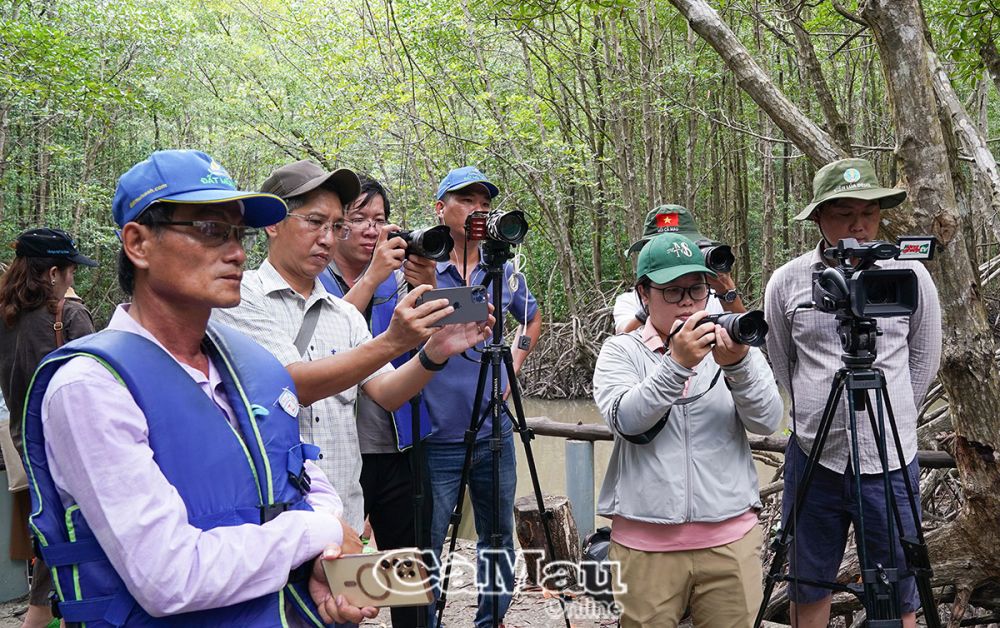 Các nhà báo khám phá, lan toả những điểm đến của Khu Du lịch Mũi Cà Mau với du khách trong và ngoài nước.